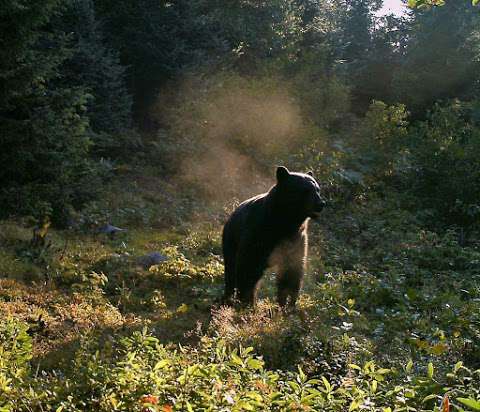 Ironwood Outdoors Outfitting Services Ironwood Outdoors Outfitting Services